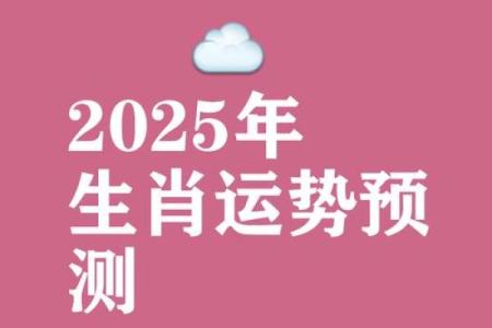 鼠男本命年如何迎接挑战