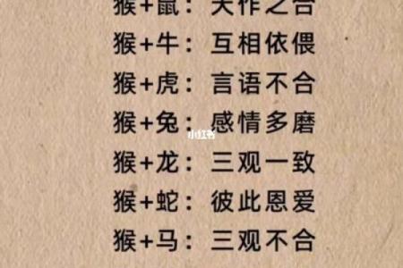属猪女与属鼠男的配对分析：两者性格与婚姻契合度如何