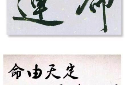 揭开命运的面纱：命与运的本质解读