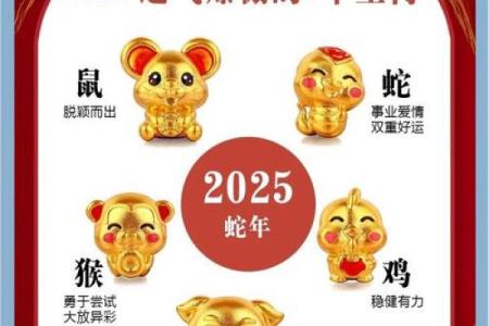 生肖运程预测，哪些生肖将迎来好运？