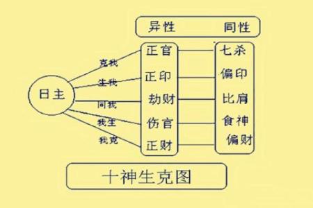 十神与五行的关系揭秘，如何运用它们来提升命运运势？