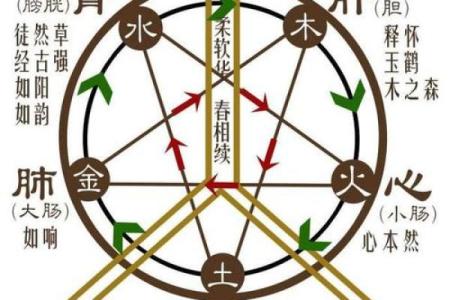 探索淇的五行之谜，带你了解五行与命运的关系