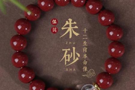 属龙本命年如何吸引贵人帮助