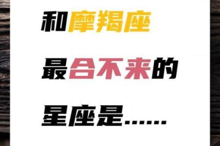 魔蝎座与魔蝎座配对的优缺点解析