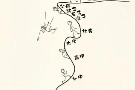 学堂命与人生轨迹：命运如何左右学业成功