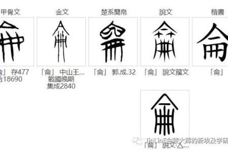 美字五行属性解析及其对命理的影响