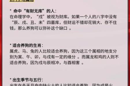 生辰八字中的土元素如何影响命运走向