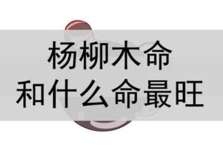 杨柳木命的性格特征与命运走向