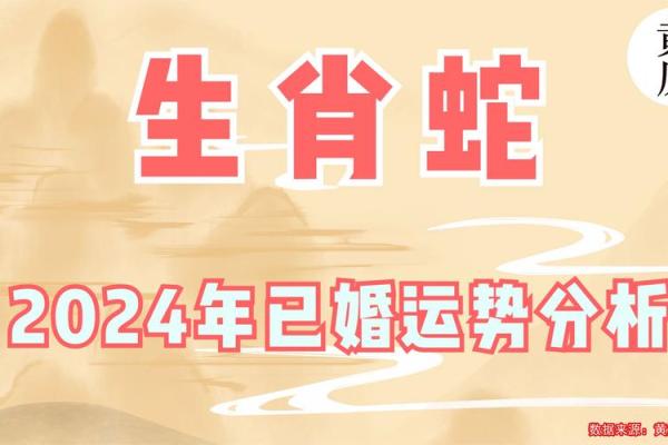 本命年属蛇的运势解析
