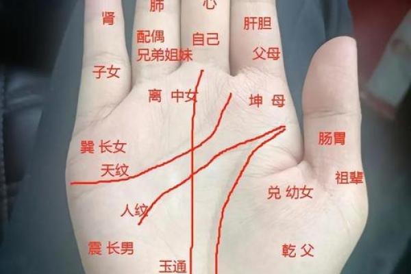 命运好不好,关键看哪些因素 命运好不好,关键看哪些因素