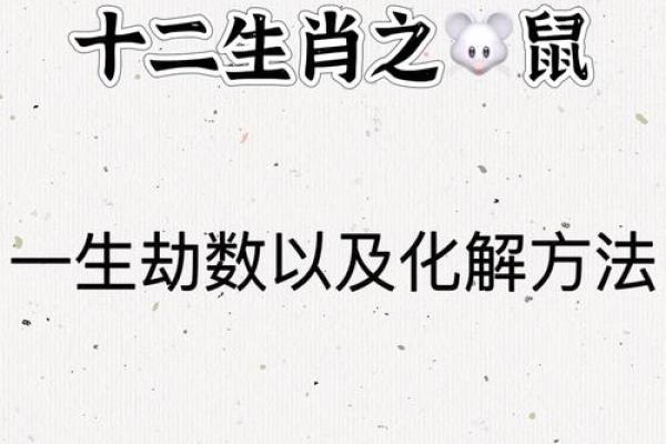 本命年鼠女的感情心态调整技巧