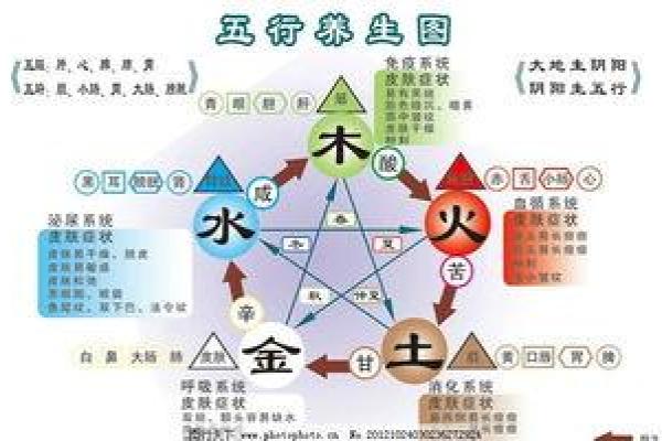 五行称命女:如何通过五行分析帮助女性找到人生的最佳方向 五行称命女:如何通过五行分析帮助女性找到人生的最佳方向
