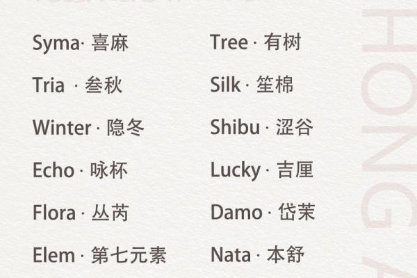 网店起名技巧:打造独特品牌形象 网店起名技巧:打造独特品牌形象