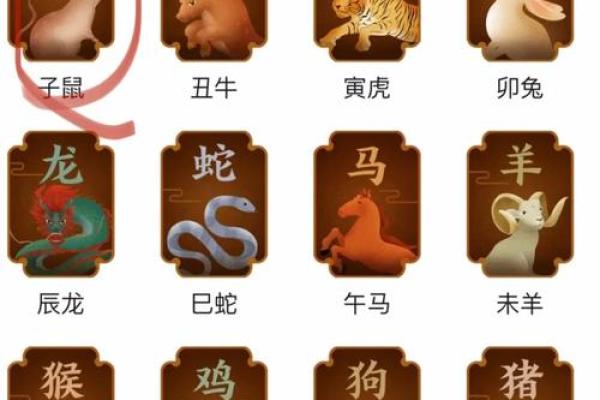 鼠宝宝五行属性解析,助力孩子健康成长的秘密密码 鼠宝宝五行属性解析,助力孩子健康成长的秘密密码