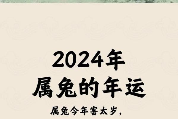 兔年运势全解析：兔子生肖今年的运程如何？