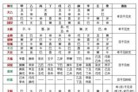 胎命身在八字命理中的角色与应用