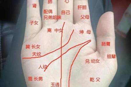 命运好不好，关键看哪些因素