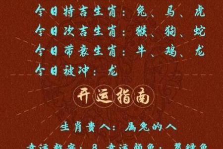 每日生肖运程预测：揭示今日的运势走势与重点