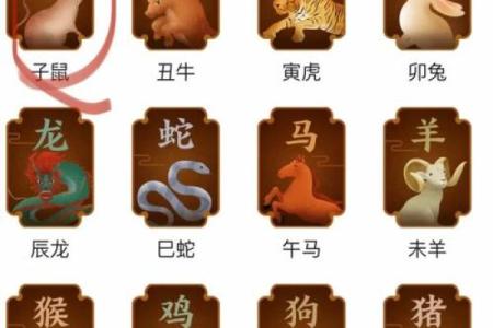 鼠宝宝五行属性解析，助力孩子健康成长的秘密密码