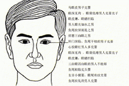 男人什么脸型代表富贵命 解析面相与财富运势的关系