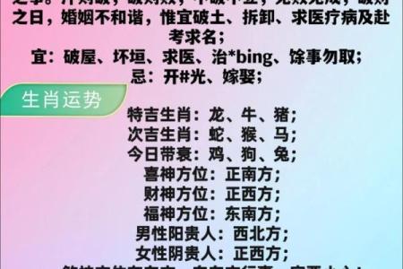 十二生肖运势全解析，看看你的运程如何