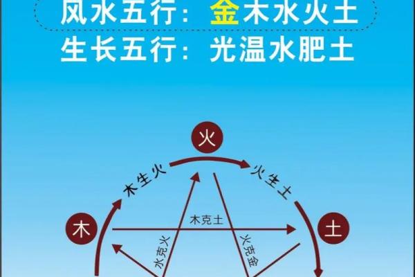 兮字的五行属性与其文化内涵解析 兮字的五行属性与其文化内涵解析