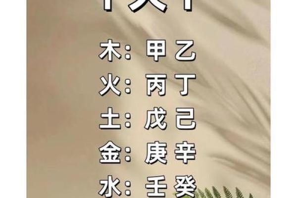属鸡的朋友本命年能做哪些提升自我的事情 属鸡的朋友本命年能做哪些提升自我的事情