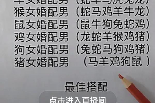 男羊与女鸡的性格契合度如何 男羊与女鸡的性格契合度如何