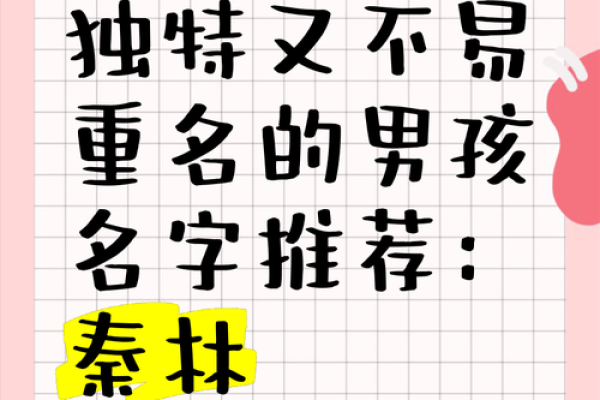 打造独特个性:男孩最佳名字推荐 打造独特个性:男孩最佳名字推荐