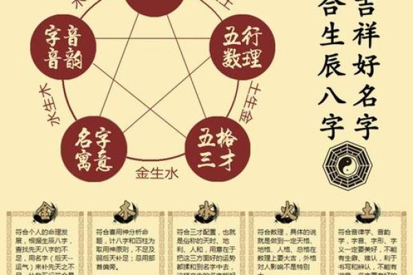 豆豆的五行属性解析,了解它对性格和命运的影响 豆豆的五行属性解析,了解它对性格和命运的影响