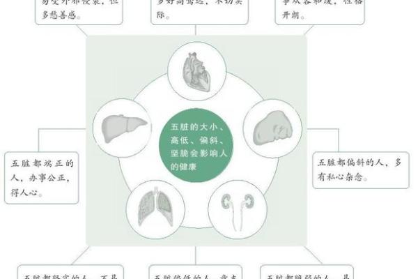 豆豆的五行属性解析,了解它对性格和命运的影响 豆豆的五行属性解析,了解它对性格和命运的影响
