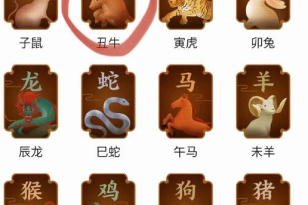 龙人运势预测：成功与挑战并存的关键时刻