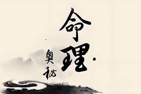 掌握八字奥秘,破解人生的命运密码 掌握八字奥秘,破解人生的命运密码