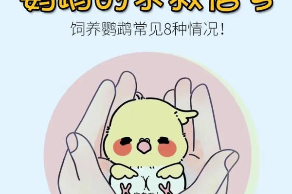 养鹦鹉前必看!五行属性如何决定你的养鸟策略 养鹦鹉前必看!五行属性如何决定你的养鸟策略