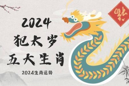 属狗的朋友在的财运与健康运势