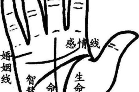 男人手纹揭示富贵命运的秘密解析