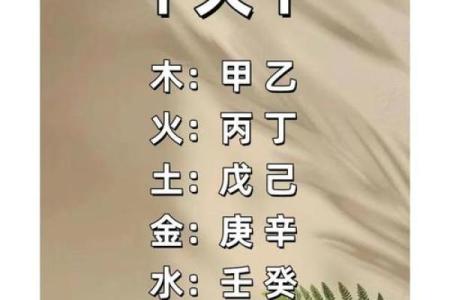 属鸡的朋友本命年能做哪些提升自我的事情
