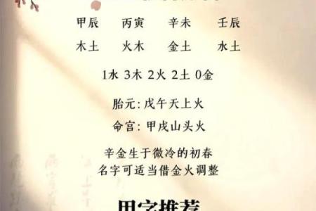带马名字的背后含义：如何为你的马选择合适的名称