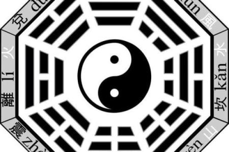 风水展上的智慧：走进千年文化的深度体验