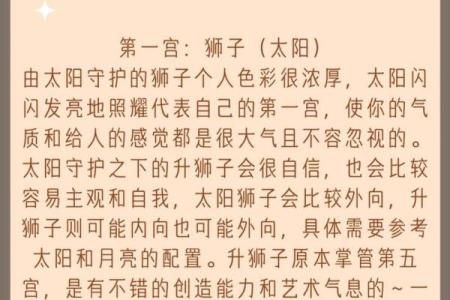 狮子的名字背后的深层寓意与象征
