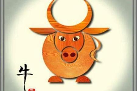 牛男本命年如何找到适合自己的发展方向