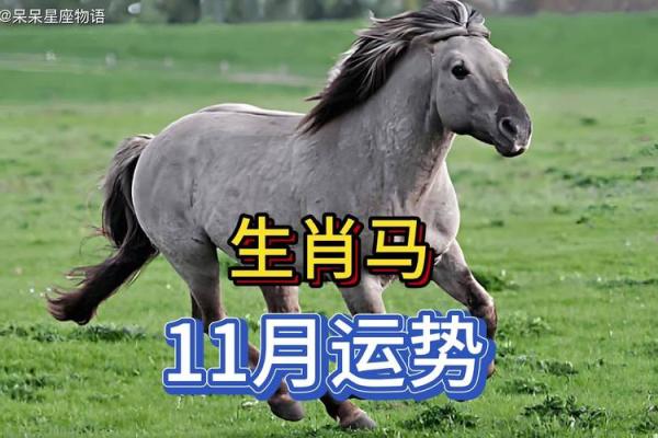 属马人的运势与幸运月份全解析