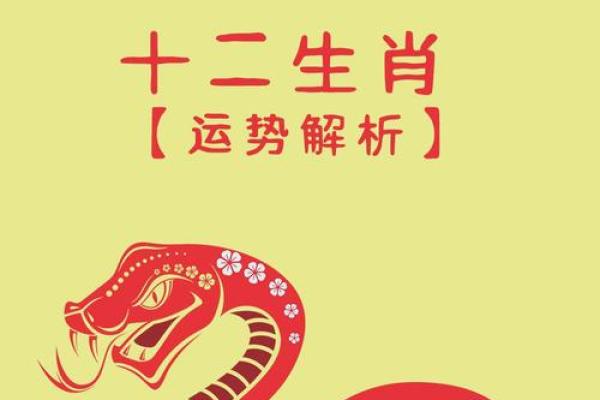 属兔人运程注意事项与机遇