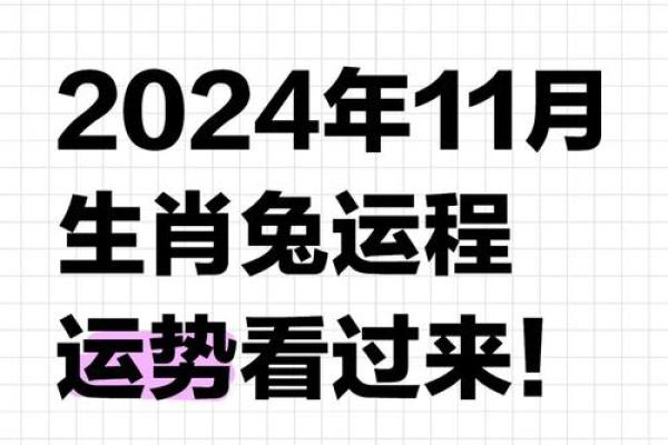 属兔人运程注意事项与机遇