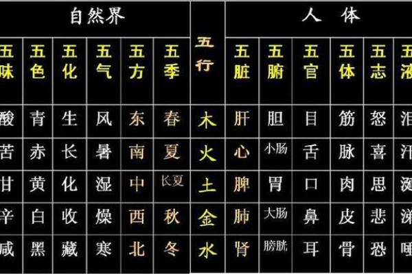 掌握八字金木水火土查询表，轻松解读你的命运玄机