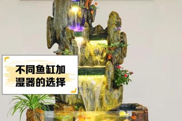 如何通过鱼缸风水提升家庭财运与健康 如何通过鱼缸风水提升家庭财运与健康