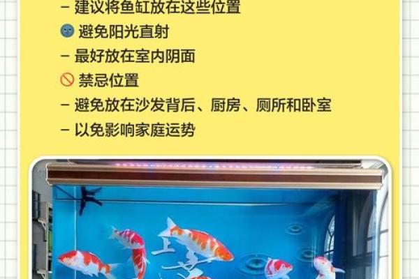 如何通过鱼缸风水提升家庭财运与健康 如何通过鱼缸风水提升家庭财运与健康