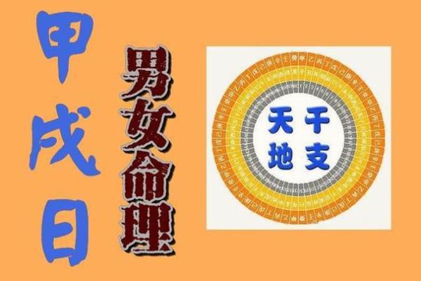 女命甲子离婚后的生活该如何规划? 女命甲子离婚后的生活该如何规划?