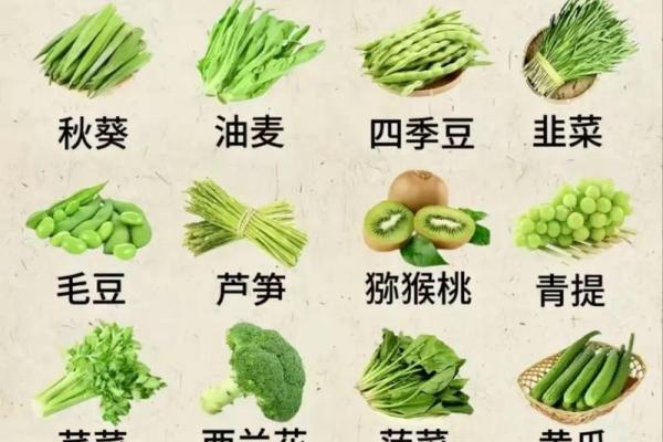 靖五行属什么?揭秘其深层含义与生活中的影响 靖五行属什么?揭秘其深层含义与生活中的影响