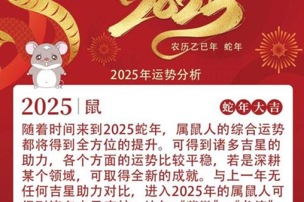 鼠男本命年如何适应变化的社会环境 鼠男本命年如何适应变化的社会环境
